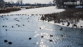 Zimowy spacer po Łabiszynie - zdjęcie 4