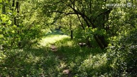 Sekrety parku w Mielnie - zdjęcie 41