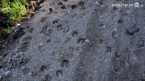 Sekrety parku w Mielnie - zdjęcie 38