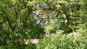 Sekrety parku w Mielnie - zdjęcie 37