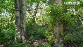 Sekrety parku w Mielnie - zdjęcie 34