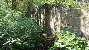 Sekrety parku w Mielnie - zdjęcie 32