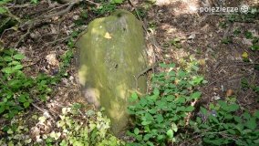 Sekrety parku w Mielnie - zdjęcie 31