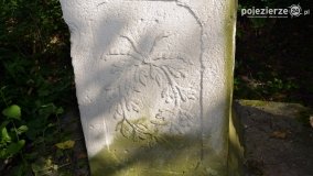 Sekrety parku w Mielnie - zdjęcie 28