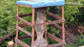 Sekrety parku w Mielnie - zdjęcie 26