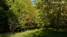 Sekrety parku w Mielnie - zdjęcie 25