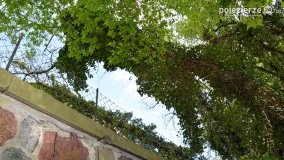 Sekrety parku w Mielnie - zdjęcie 24