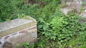 Sekrety parku w Mielnie - zdjęcie 22