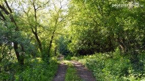 Sekrety parku w Mielnie - zdjęcie 21