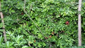 Sekrety parku w Mielnie - zdjęcie 15