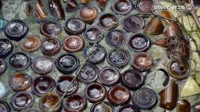 Sekrety parku w Mielnie - zdjęcie 14