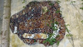 Sekrety parku w Mielnie - zdjęcie 13