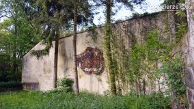 Sekrety parku w Mielnie - zdjęcie 12