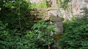 Sekrety parku w Mielnie - zdjęcie 11