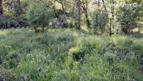 Sekrety parku w Mielnie - zdjęcie 10