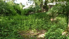 Sekrety parku w Mielnie - zdjęcie 9