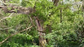 Sekrety parku w Mielnie - zdjęcie 8