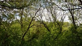 Sekrety parku w Mielnie - zdjęcie 7