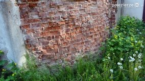 Sekrety parku w Mielnie - zdjęcie 6