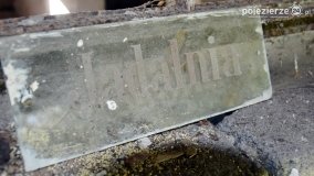 Sekrety parku w Mielnie - zdjęcie 5