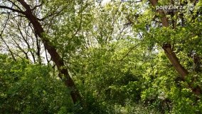 Sekrety parku w Mielnie - zdjęcie 4