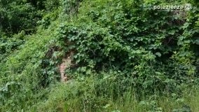 Sekrety parku w Mielnie - zdjęcie 3