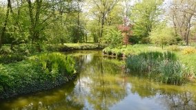 „Perła” Leśniewa - zdjęcie 29