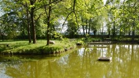 „Perła” Leśniewa - zdjęcie 27