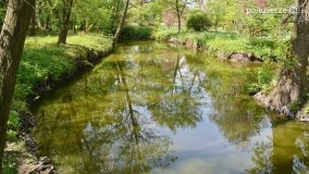 „Perła” Leśniewa - zdjęcie 24