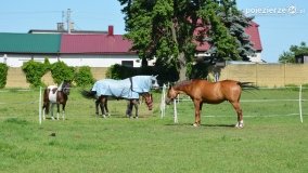 „Perła” Leśniewa - zdjęcie 23