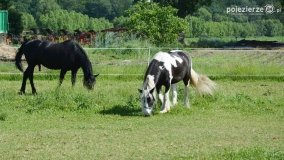 „Perła” Leśniewa - zdjęcie 19