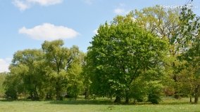 „Perła” Leśniewa - zdjęcie 18