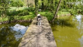 „Perła” Leśniewa - zdjęcie 15