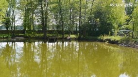 „Perła” Leśniewa - zdjęcie 9