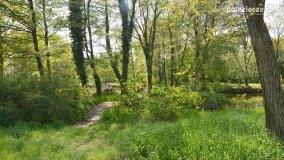 „Perła” Leśniewa - zdjęcie 8