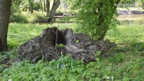 „Perła” Leśniewa - zdjęcie 7