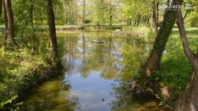 „Perła” Leśniewa - zdjęcie 6