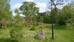 „Perła” Leśniewa - zdjęcie 4