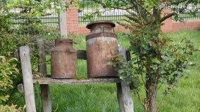 „Perła” Leśniewa - zdjęcie 2