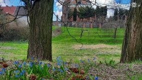 Pobiedziska na niebiesko - zdjęcie 20