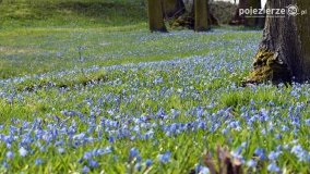 Pobiedziska na niebiesko - zdjęcie 18