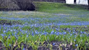 Pobiedziska na niebiesko - zdjęcie 16