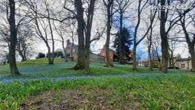 Pobiedziska na niebiesko - zdjęcie 13