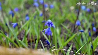 Pobiedziska na niebiesko
