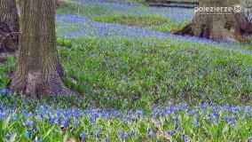 Pobiedziska na niebiesko - zdjęcie 3