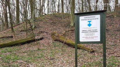 Kociałkowa Górka w kwiatach kokoryczy