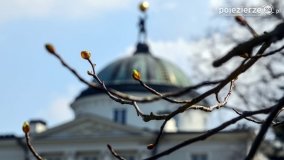 Park w Lubostroniu budzi się do życia! - zdjęcie 13