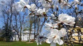 Park w Lubostroniu budzi się do życia! - zdjęcie 18