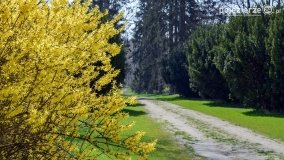 Park w Lubostroniu budzi się do życia! - zdjęcie 19