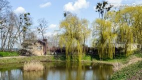 Park w Lubostroniu budzi się do życia! - zdjęcie 21